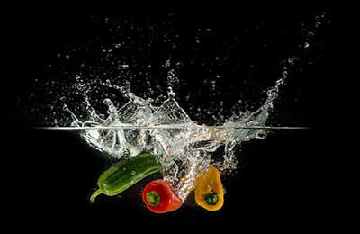 食品科學(xué)論文