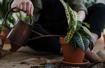 作文教學(xué)能力培養(yǎng)3篇