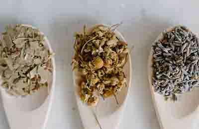 中藥資源與開發(fā)教學研究