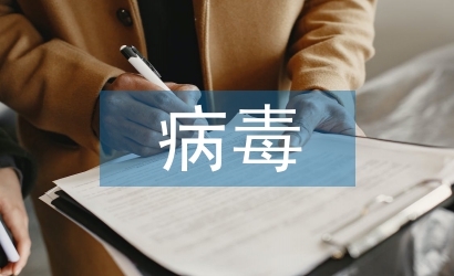 計算機網(wǎng)絡(luò)安全與病毒防范