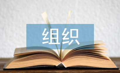 新經(jīng)濟組織