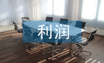 財務(wù)報表的利潤