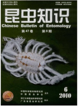 昆蟲知識雜志